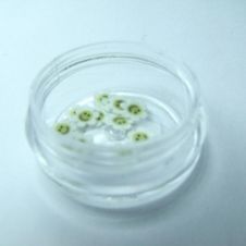 Mosolygós virág dísz